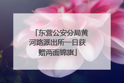 东营公安分局黄河路派出所一日获赠两面锦旗