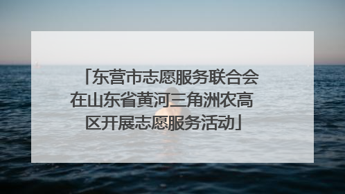 东营市志愿服务联合会在山东省黄河三角洲农高区开展志愿服务活动