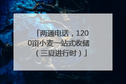 两通电话，1200亩小麦一站式收储（三夏进行时）