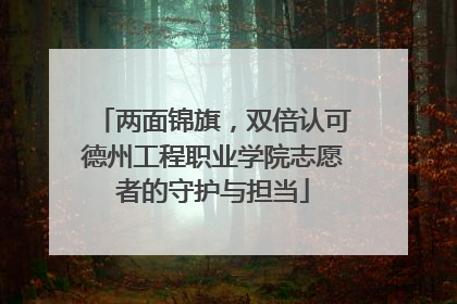 两面锦旗，双倍认可德州工程职业学院志愿者的守护与担当