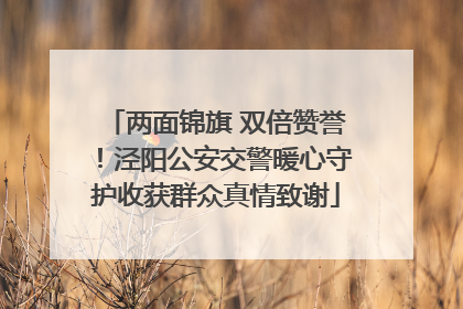 两面锦旗 双倍赞誉！泾阳公安交警暖心守护收获群众真情致谢