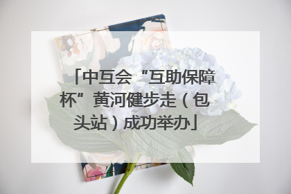 中互会“互助保障杯”黄河健步走（包头站）成功举办