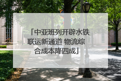 中亚班列开辟水铁联运新通道 物流综合成本降四成