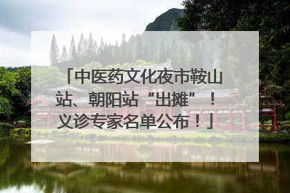 中医药文化夜市鞍山站、朝阳站“出摊”！义诊专家名单公布！