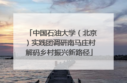 中国石油大学（北京）实践团调研南马庄村解码乡村振兴新路径