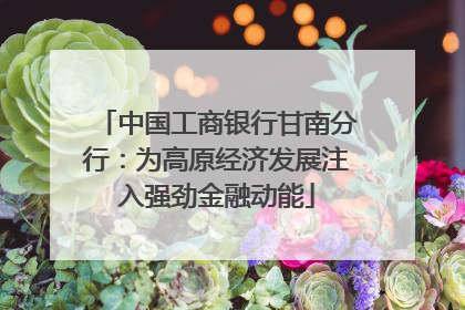 中国工商银行甘南分行：为高原经济发展注入强劲金融动能