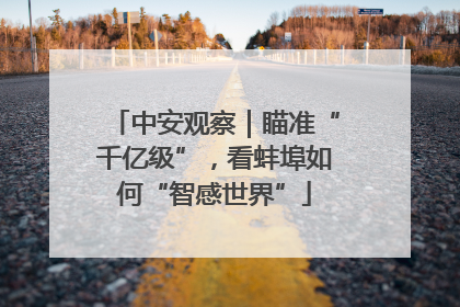 中安观察｜瞄准“千亿级”，看蚌埠如何“智感世界”