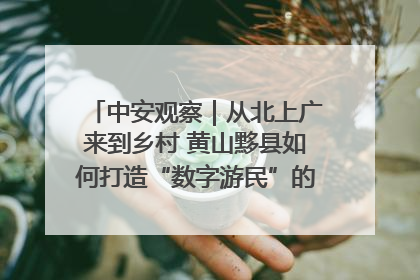 中安观察｜从北上广来到乡村 黄山黟县如何打造“数字游民”的“桃花源”？