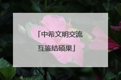 中希文明交流互鉴结硕果
