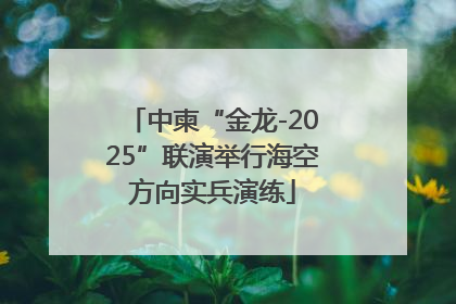 中柬“金龙-2025”联演举行海空方向实兵演练