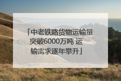 中老铁路货物运输量突破6000万吨 运输需求逐年攀升