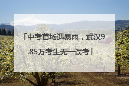 中考首场遇暴雨，武汉9.85万考生无一误考