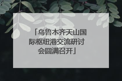 乌鲁木齐天山国际枢纽港交流研讨会圆满召开