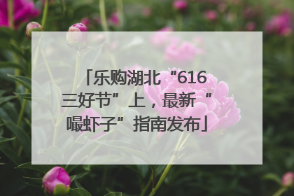 乐购湖北“616三好节”上，最新“嘬虾子”指南发布