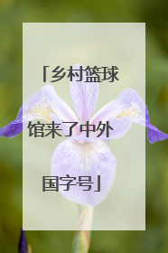 乡村篮球馆来了中外国字号