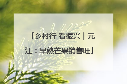 乡村行 看振兴｜元江：早熟芒果销售旺