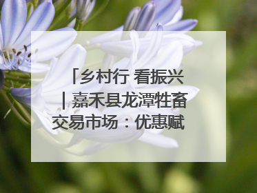 乡村行 看振兴｜嘉禾县龙潭牲畜交易市场：优惠赋能促交易 乡村振兴添动能