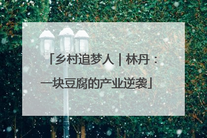 乡村追梦人｜林丹：一块豆腐的产业逆袭