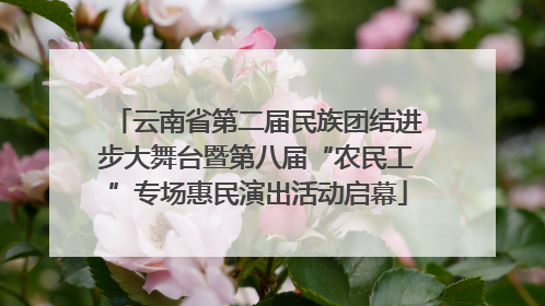 云南省第二届民族团结进步大舞台暨第八届“农民工”专场惠民演出活动启幕