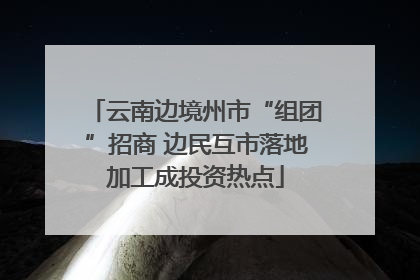 云南边境州市“组团”招商 边民互市落地加工成投资热点