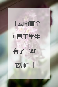 云南首个！昆工学生有了“AI老师”