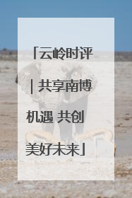 云岭时评｜共享南博机遇 共创美好未来