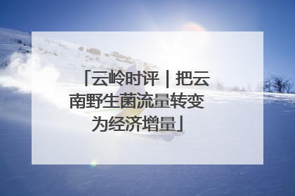 云岭时评｜把云南野生菌流量转变为经济增量