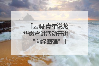 云洞·青年说龙华微宣讲活动开讲“向绿图强”
