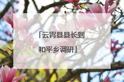 云霄县县长到和平乡调研