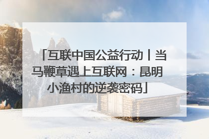 互联中国公益行动丨当马鞭草遇上互联网：昆明小渔村的逆袭密码