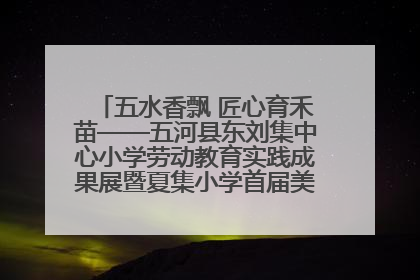 五水香飘 匠心育禾苗——五河县东刘集中心小学劳动教育实践成果展暨夏集小学首届美食节盛大举行