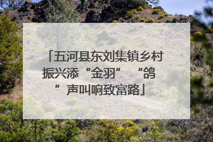 五河县东刘集镇乡村振兴添“金羽” “鸽”声叫响致富路