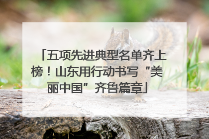 五项先进典型名单齐上榜！山东用行动书写“美丽中国”齐鲁篇章