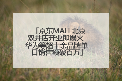 京东MALL北京双井店开业即爆火 华为等超十余品牌单日销售额破百万