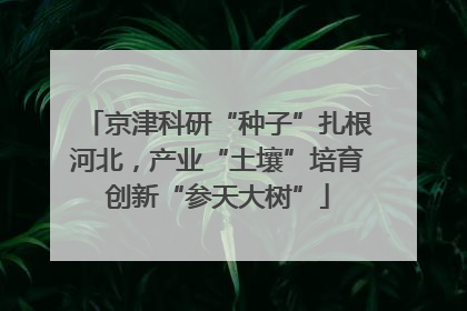 京津科研“种子”扎根河北，产业“土壤”培育创新“参天大树”