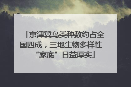 京津冀鸟类种数约占全国四成，三地生物多样性“家底”日益厚实