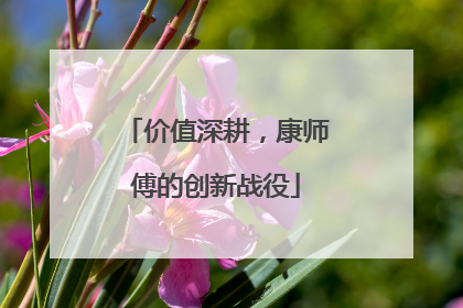 价值深耕，康师傅的创新战役