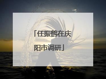 任振鹤在庆阳市调研