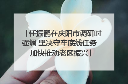 任振鹤在庆阳市调研时强调 坚决守牢底线任务 加快推动老区振兴