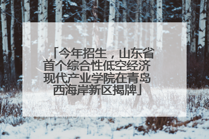 今年招生，山东省首个综合性低空经济现代产业学院在青岛西海岸新区揭牌