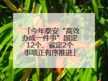 今年泰安“高效办成一件事”国定12个、省定2个事项正有序推进