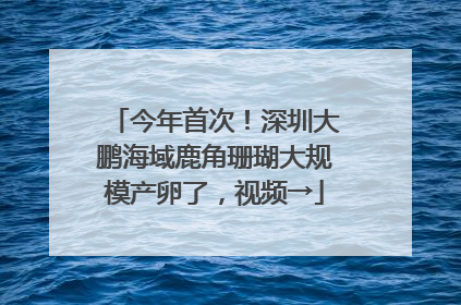 今年首次！深圳大鹏海域鹿角珊瑚大规模产卵了，视频→