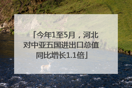 今年1至5月，河北对中亚五国进出口总值同比增长1.1倍