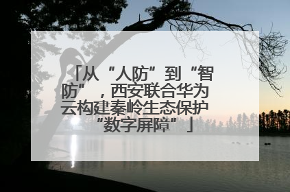 从“人防”到“智防”，西安联合华为云构建秦岭生态保护“数字屏障”