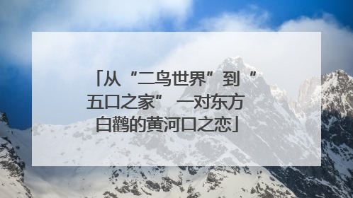 从“二鸟世界”到“五口之家” 一对东方白鹳的黄河口之恋