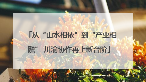 从“山水相依”到“产业相融” 川渝协作再上新台阶