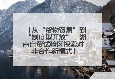 从“货物贸易”到“制度型开放”，湖南自贸试验区探索对非合作新模式