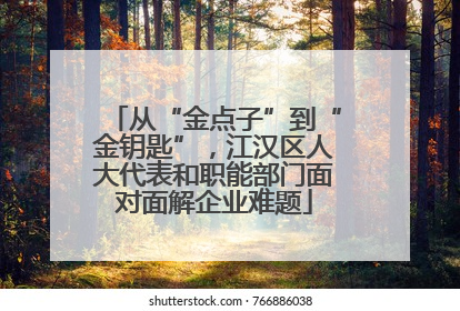 从“金点子”到“金钥匙”，江汉区人大代表和职能部门面对面解企业难题