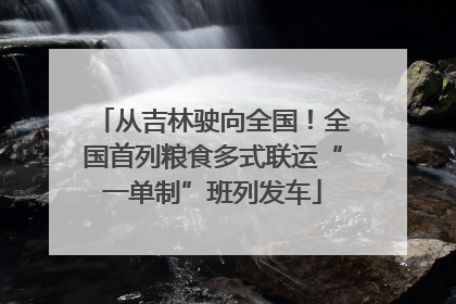 从吉林驶向全国！全国首列粮食多式联运“一单制”班列发车