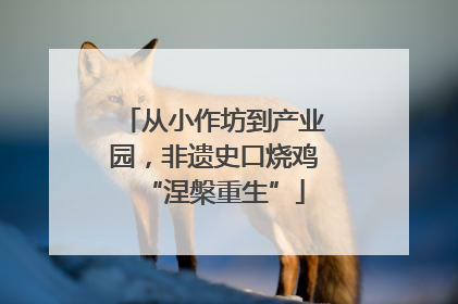 从小作坊到产业园，非遗史口烧鸡“涅槃重生”